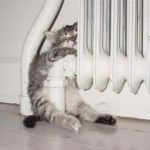 changement-temperature-radiateur