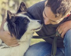 Etude : les chiens n’aimeraient pas les caresses !