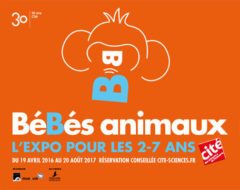 BéBés animaux, l’exposition sur mesure pour les 2-7 ans