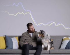 Etude : les cœurs d’un chien et de son maître seraient connectés
