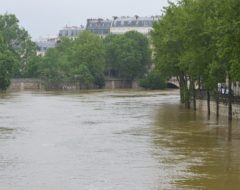 Inondations : comment anticiper l’indemnisation des sinistres ?