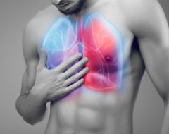 La prise en charge des maladies respiratoires