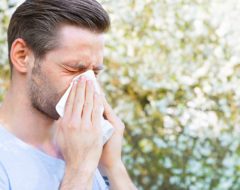 Allergies : fortes concentrations de pollens dans le sud de la France