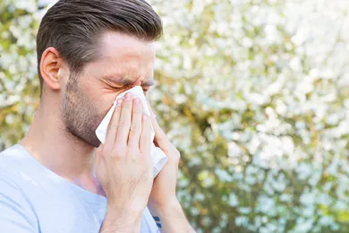 Tout savoir sur le pic de pollen et la prise en charge des allergies