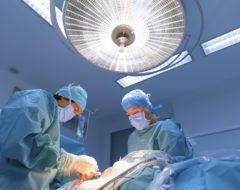 Les nombres de greffes d’organes et les listes d’attentes augmentent