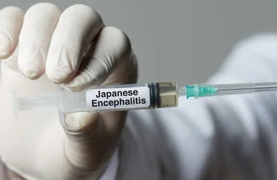 Le remboursement du vaccin contre l'encéphalite japonaise