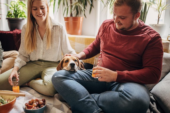 un beagle et ses maîtres