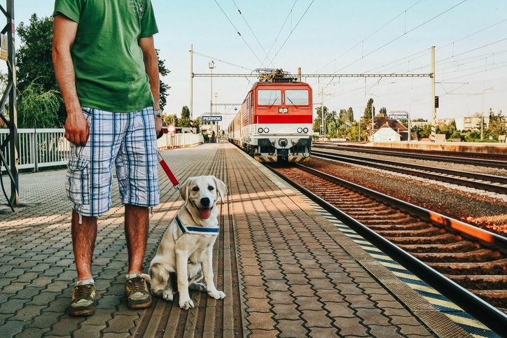 a man and a dog on a station platform