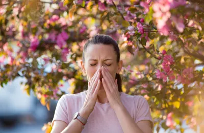 Retour du pollen : consultez un allergologue, c’est remboursé par la mutuelle et la Sécu  !