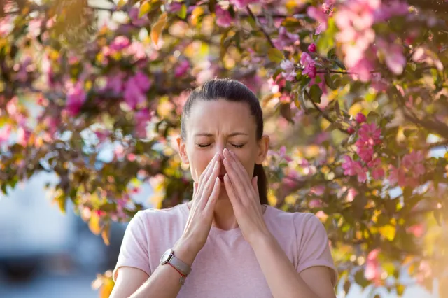 Retour du pollen : consultez un allergologue, c’est remboursé par la mutuelle et la Sécu !
