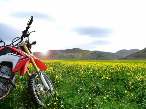 Entretien de la moto au printemps : comment sortir sa moto de l’hivernage ?