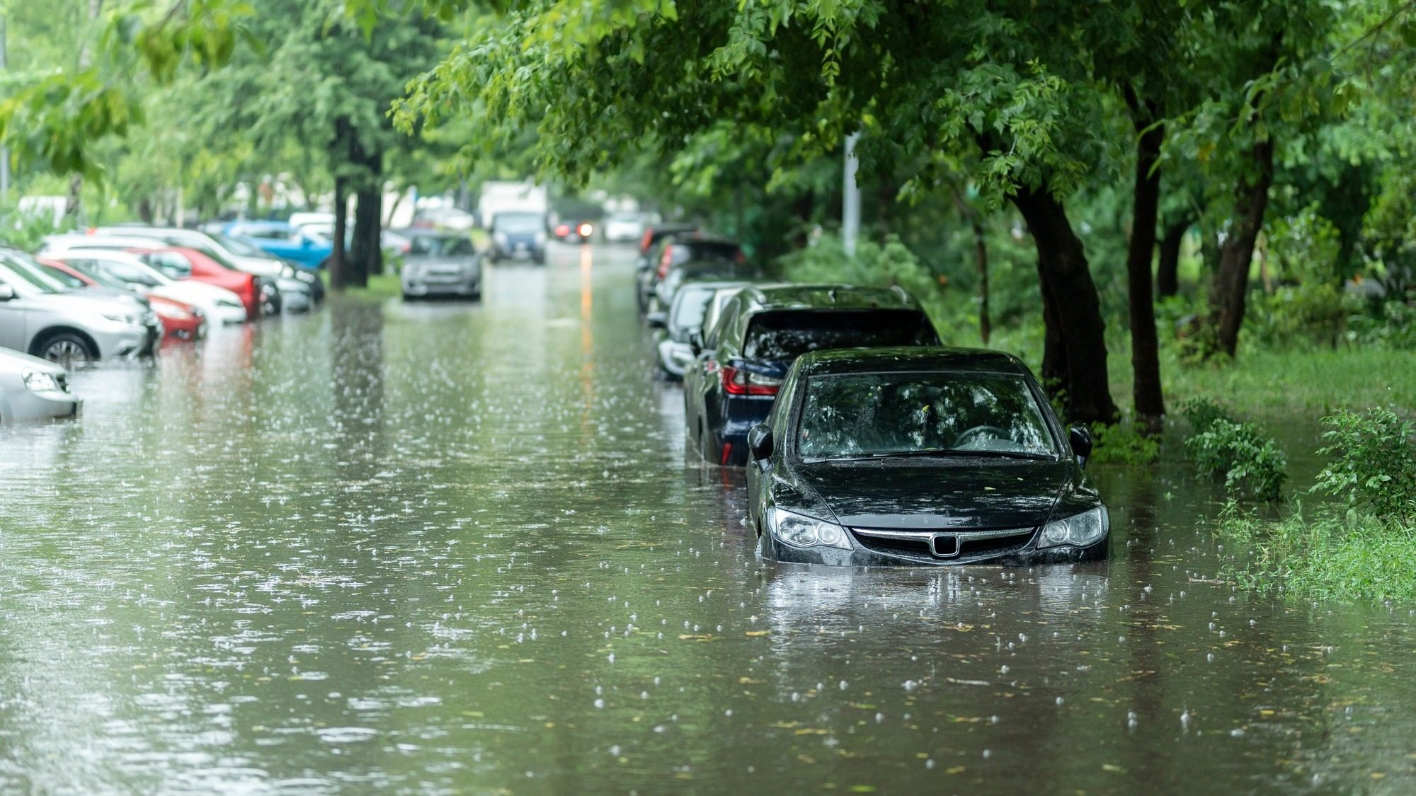 des voitures sous les eaux dans une rue