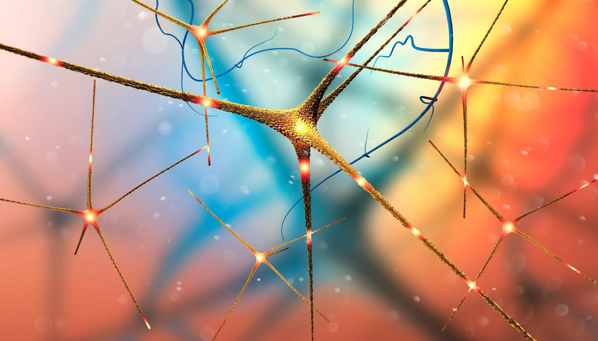 Quels Sont Les Conséquences Negatives Du Sucres Schéma Simple Aliments gras et sucrés : quels pouvoirs addictifs sur le cerveau ?