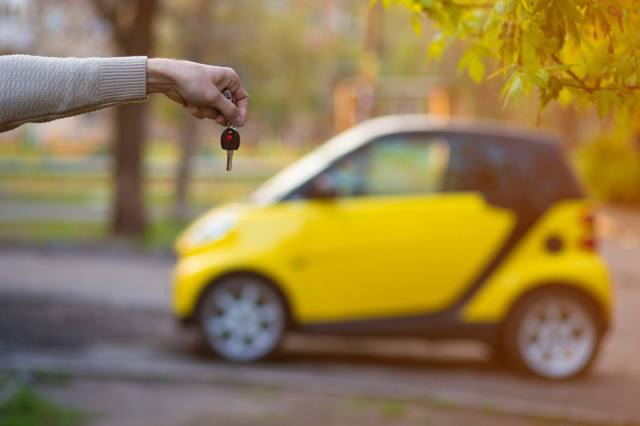 Voiture sans permis (VSP) combien coûte-t-elle Faut il assurer prix assurance auto