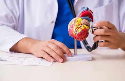 Remboursement cardiologue : quelle prise en charge par la Sécu et la mutuelle en 2024 ?