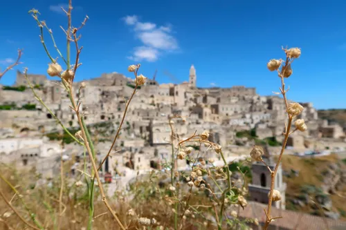 La sécheresse pourrait coûter des milliards dans les années à venir