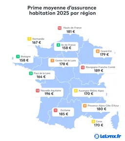 Infographies