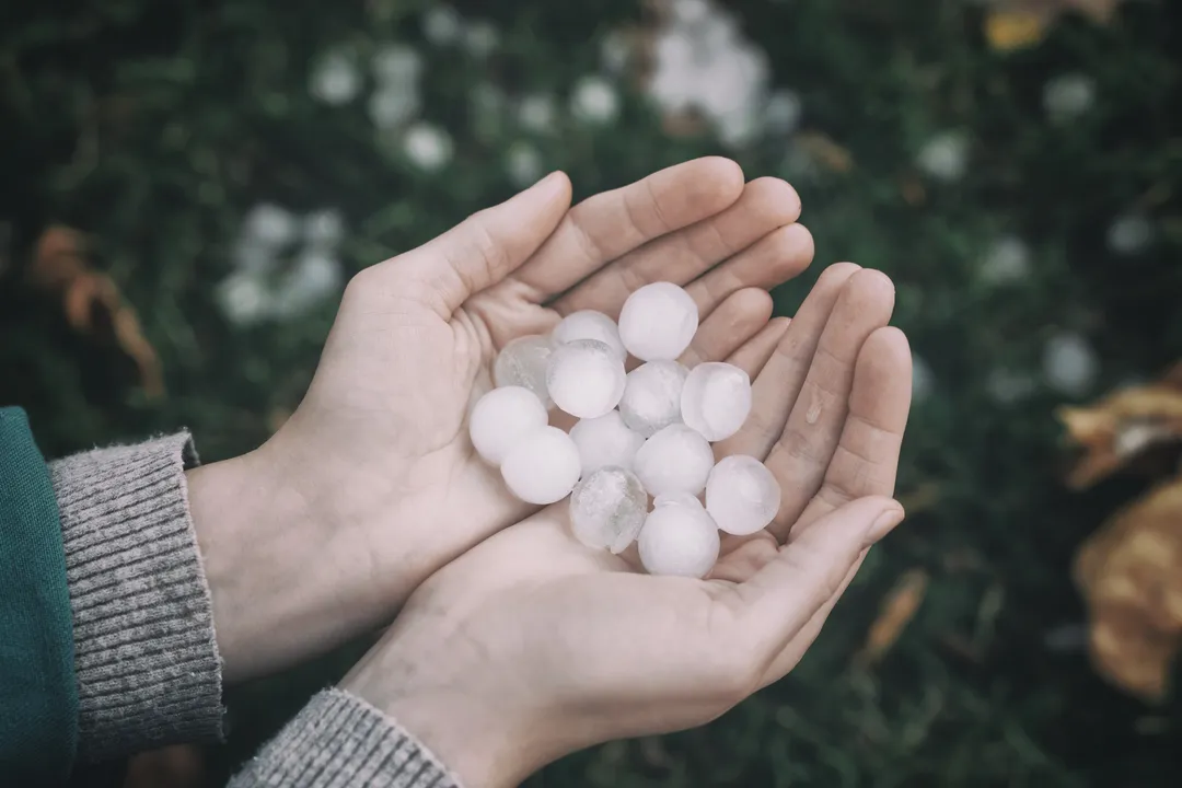 Catastrophes naturelles : une nouvelle année record ?