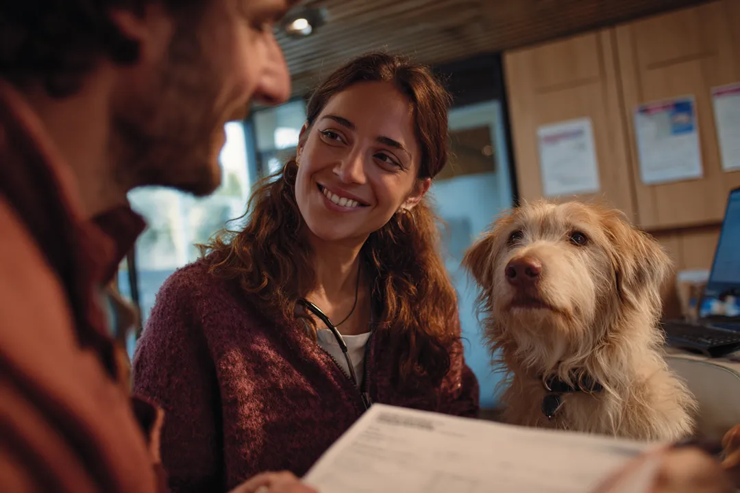 Santé animale : pourquoi les Français dépensent toujours plus pour leurs animaux