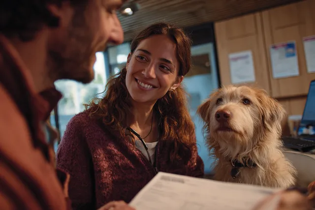 Santé animale : pourquoi les Français dépensent toujours plus pour leurs animaux