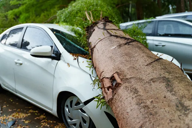 Tempête Austen : votre assurance auto couvre-t-elle les dégâts sur votre voiture ?
